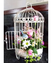 Birdcages Any occasion