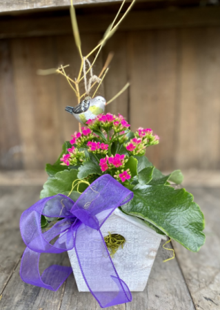 Birdhouse Dreams Planter