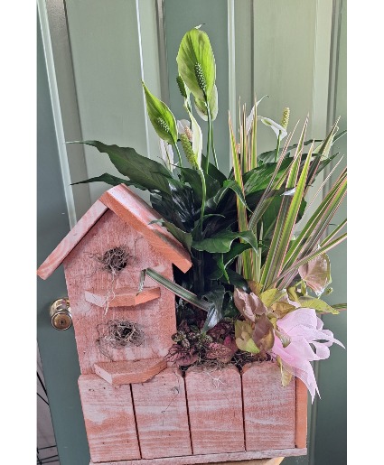 2 hole Birdhouse planter 