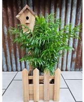 Birdhouse Planter with Palm Sympathy