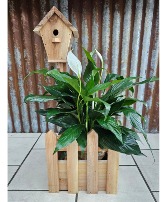 Birdhouse Planter with Peace Lily Sympathy