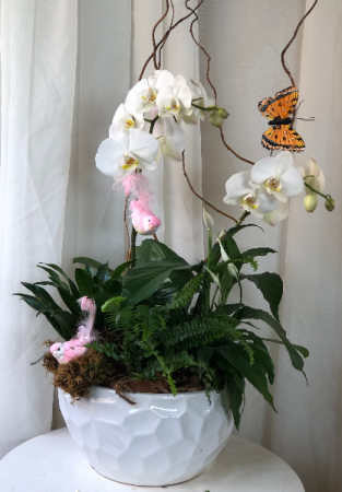 Birds and Butterflies  Orchid Planter