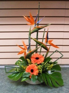 Funky Exotics Dish Arrangement