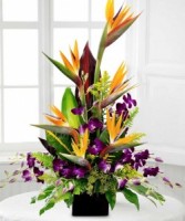 Birds and Orchids High Style Arrangement