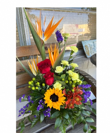 Birds in the Breeze  in Pensacola, FL | Cordova Flowers and Gifts
