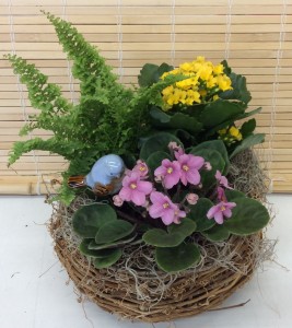 Bird's Nest Basket