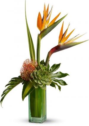 Birds of Beauty Flowers Birthday for everyone in Los Angeles, CA | MY BELLA FLOWER Birds of Beauty Flowers Birthday for everyone in Los Angeles, CA | MY BELLA FLOWER
