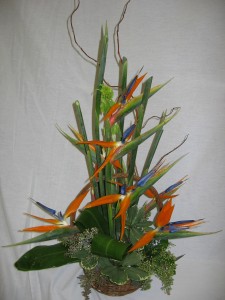 Birds of Paradise Center Piece
