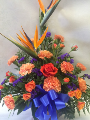 Birds of Paradise Tropical Arrangement in Red Lake, ON | FOREVER GREEN GIFT BOUTIQUE Birds of Paradise Tropical Arrangement in Red Lake, ON | FOREVER GREEN GIFT BOUTIQUE