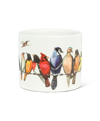 Birds on a Wire Pot 