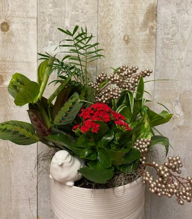 Birdsong Winter planter arrangement of tropical plants in ceramic 