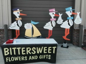 Birth Announcement Sign Rental
