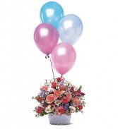 Celebration Flower Basket and Balloons      TF46-1 Fresh Floral Arrangement