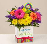 Birthday Brights