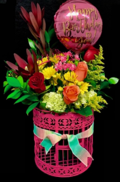 Category Image