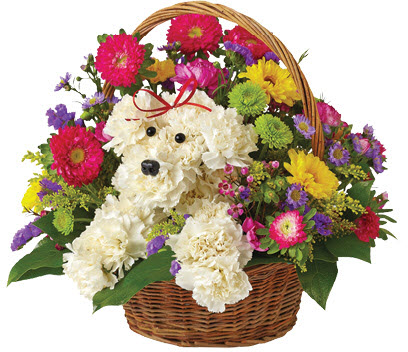 Best Wishes Dog-Able Bouquet