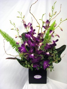 BIRTHDAY ORCHIDS Fresh Cut Arrangement