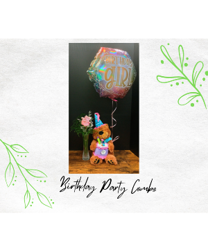 Birthday Party Combo Birthday Present
