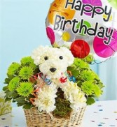 Birthday