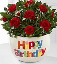 birthday planter