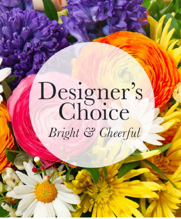 Birthday Special  Designer's Choice in Falls Church, VA | Geno's Flowers