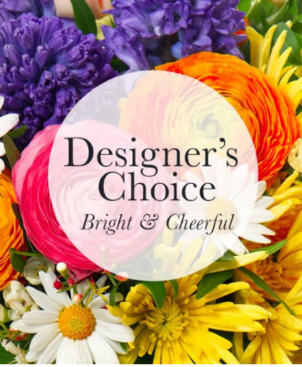 Birthday Special  Designer's Choice