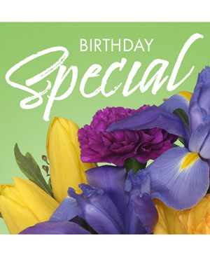 Birthday Bright Woodstock Flowers and Gifts - Best Woodstock GA Florist