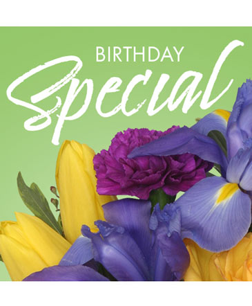 Birthday Special Designer's Choice in Vernon, BC | OOPSIE DAISY/ Formerly Harris Flowers