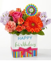 Birthday Surprise Birthday