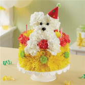 Birthday Wishes Flower Cake™ Pupcake™ Arrangement
