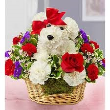 bitrthday Pup