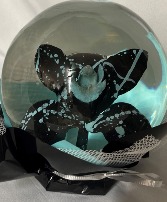 Black and Teal Orchid  