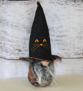 Black Cat witch  