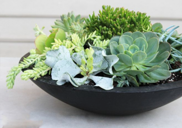 Black cera mix bowl