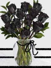 Black Dyed Roses Halloween Roses