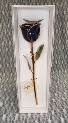Black Gold Dipped Rose 