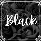 Black Roses 
