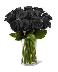 Black roses arrangement(Limited) 