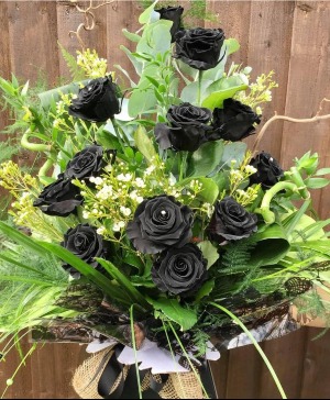 Black Roses  Dozen Black Roses 