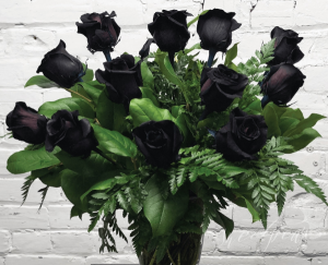 Black Roses  Roses 