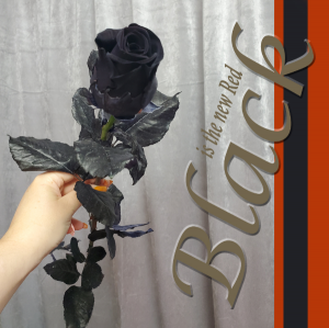 Black Velvet Roses