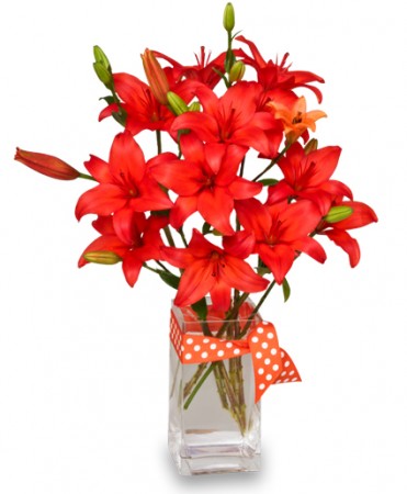 BLAZING ORANGE LILIES Arrangement