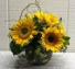 Blazing Sunflowers Vase Arrangement