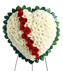 Bleeding Heart