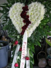 Bleeding Heart Spray/Corona