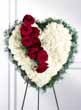 Bleeding Heart Sympathy
