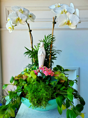 Blessed Mother Dish Garden Large White Orchid Dish Garden in Wantagh, NY | Numa's Florist Blessed Mother Dish Garden Large White Orchid Dish Garden in Wantagh, NY | Numa's Florist
