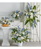 Blessings of Memory  Bundle 