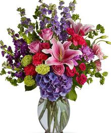 Category Image