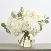 Blissful Blooming Hydrangea 